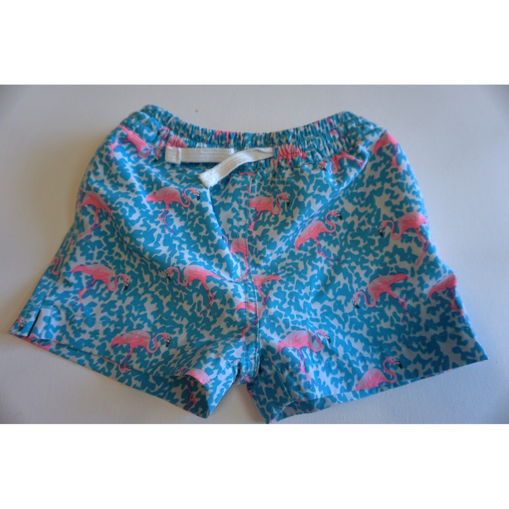 Chubbies Kids 2T Swim Trunks Blue Pink Flamingo Print Mesh Lined Shorts